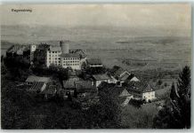 8158 Regensberg 1914 - Schloss