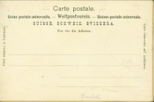 3000 Bern Berne - echtes Edelweiss hinter Folie mit Einrissen