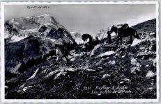 1986 Arolla - Maultiere für Post AKU1