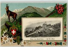 8496 Steg im Tösstal Prägedruck Gemse Wappen Hotel Hörnli-Kulm