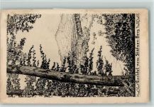 8340 Hinwil Gebrauchsspuren Bachtel vom Staäftner Berg - Künstlerkarte