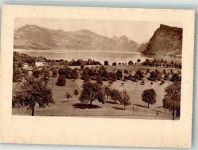 6410 Goldau Foto AK Rigi Bürgenstock