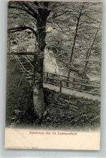 7317 Valens Foto AK Naturbrücke Taminaschlucht