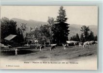 1446 Baulmes 1906 - Chalet - Pension du Mont de Baulmes, gute Erhaltung AK