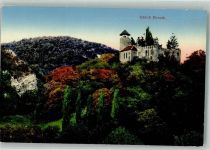 Birseck Ruine Foto AK Schloss