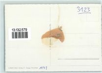 3123 Belp Gebrauchsspuren Fliegeraufnahme