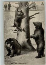 3000 Bern Berne 1912 Künstlerkarte Bären klettern auf Baumstamm