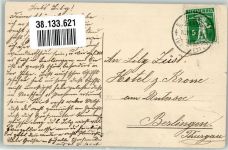 3000 Bern Berne 1912 Künstlerkarte Bären klettern auf Baumstamm