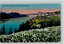 1824 Caux - Palace Hôtel et vue sur le lac Leman blühende Wiese Narzissen