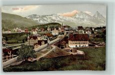 6410 Goldau Folienkarte / Lackkarte