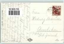 9655 Stein SG - Goggeien