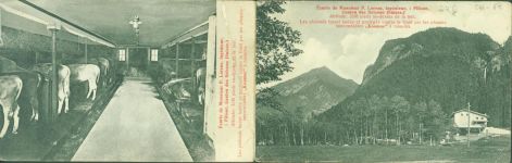 7477 Filisur KEINE AK Kuhstall Klappkarte