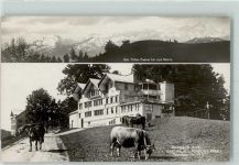 9413 Oberegg - Gasthaus Rössli Kühe Hoher Kasten
