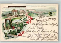 9427 Wolfhalden 1898 BOAKC Lithographie Pension Blatter Zum Lindenberg Wald