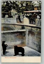 3000 Bern Berne - Zuschauer beobachten die Bären im Graben