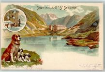 1920 Martigny 1901 Lithographie St. Bernard Hospiz Bernhardiner Mönch