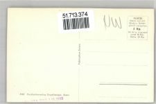 6375 Beckenried - Alter Nussbaum