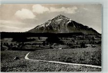 Niesen Foto AK Der Niesen