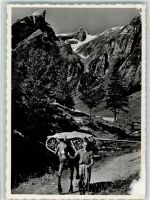 Alpstein - Im Alpstein Der Seealpsäumer Säntis