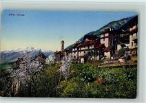 6645 Brione sopra Minusio - Blühende Bäume