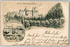 4806 Wikon 1902 Gebrauchsspuren Institu Marienburg L. Meyer Möbelmagazin Versandhaus Möbelfabrik Trockenanstalt Lithographie