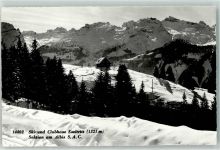Albis Winter Ski- und clubhaus Eseltritt
