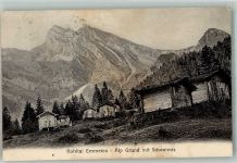 6376 Emmetten Gebrauchsspuren Alp Grund Schwalmis Kohltal