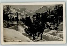 Morteratsch - Pferdeschlitten Winter