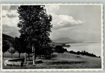 2028 Vaumarcus 1950 Foto AK Camp de Vaumarcus