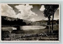 Schwendisee - Obertoggenburg Bäume