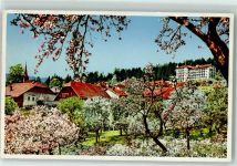 1338 Ballaigues - Bäume im Blust