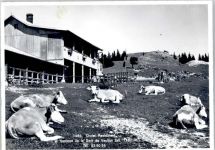 1325 Vaulion - Kuhweide, Chalet-REstaurant