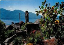 6645 Brione sopra Minusio - Sonnenblumen schauen auf die Kirche Rustico´s