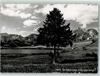 Schwendisee - Obertoggenburg Baum
