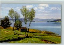 8807 Freienbach Künstlerkarte Zürichsee sign. Bachmann