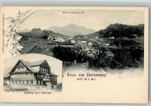 8494 Bauma Foto AK Gasthaus zum Sternen Sternenberg