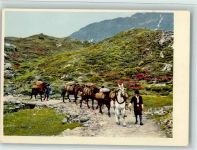 1957 - Historik - 17. Jahrhundert Saumkolonne AK