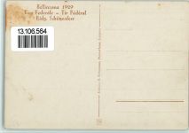 6500 Bellinzona 1929 Foto AK Nr. 6 Festspiele - Tiro Federale - Schützenfwst 1929 AK