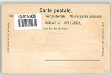 9651 Rietbad Lithographie Kuranstalt Edelweiss