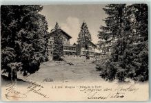 1875 Morgins 1905 - Hotel de la Foret