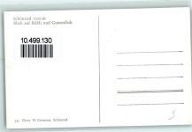 3778 Schönried - Rübli Gummfluh Weidende Kühe