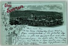 5040 Schöftland 1898 Lithographie / Mondschein