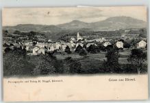 8340 Hinwil 1903 Lithographie