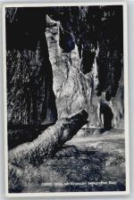 6340 Baar Walterswil ZG - Dom mit Krokodil, Höllgrotte