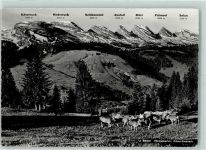 Iltios - Bergkette Churfürsten Iltiosbahn