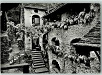 6618 Arcegno 1960 - Motivo