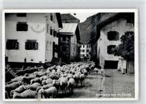 7530 Zernez - Dorfpartie Brunnen Schafherde