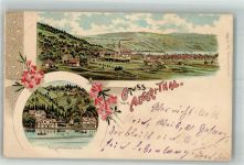 6315 Oberägeri 1899 Lithographie Pension Hürlimann am See