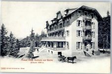 3960 Sierre - Hotel Forsthaus