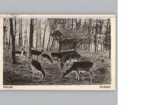 8700 Küsnacht ZH Itschnach